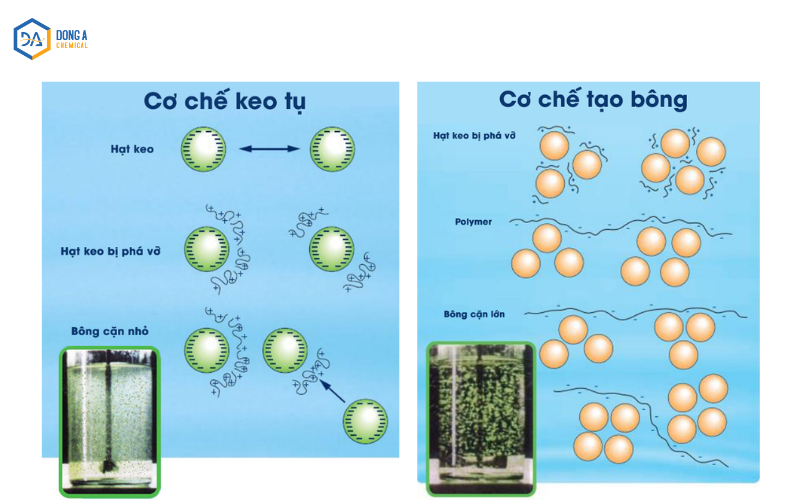 Quá trình keo tụ và tạo bông trong xử lý nước thải